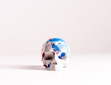 Load image into Gallery viewer, Mini Collectible Skull - Marbled -21
